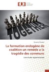 La formation endogène de coalition un remède a la tragédie des communs