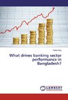 What drives banking sector performance in Bangladesh?