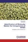 Identification of Molecular Marker for Introgression of MYMV