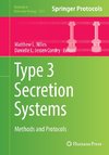 Type 3 Secretion Systems