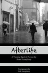 Afterlife