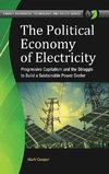 The Political Economy of Electricity