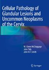 Cellular Pathology of Glandular Lesions and Uncommon Neoplasms of the Cervix