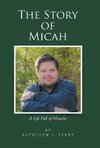 The Story of Micah