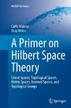 A Primer on Hilbert Space Theory