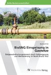 BioSNG Einspeisung in Gasnetze