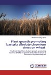 Plant growth promoting bacteria alleviate chromium stress on wheat