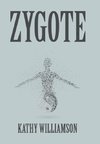 Zygote