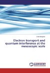 Electron transport and quantum interference at the mesoscopic scale