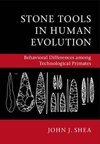 Stone Tools in Human Evolution