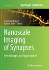 Nanoscale Imaging of Synapses