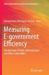 Measuring E-government Efficiency