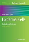 Epidermal Cells