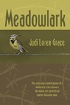 Meadowlark