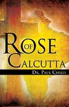 Rose of Calcutta