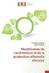 Modélisation de l'architecture et de la production d'Acmella oleracea