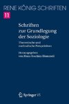 Schriften zur Grundlegung der Soziologie