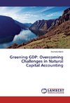 Greening GDP: Overcoming Challenges in Natural Capital Accounting