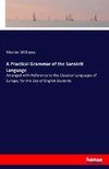 A Practical Grammar of the Sanskrit Language