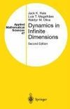 Dynamics in Infinite Dimensions