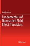 Fundamentals of Nanoscaled Field Effect Transistors