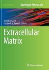 Extracellular Matrix