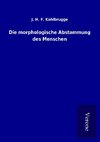 Die morphologische Abstammung des Menschen