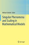 Singular Phenomena and Scaling in Mathematical Models