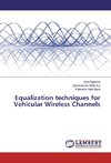 Equalization techniques for Vehicular Wireless Channels