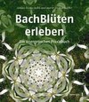 Bachblüten erleben