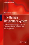 The Human Respiratory System