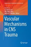 Vascular Mechanisms in CNS Trauma