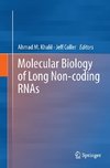 Molecular Biology of Long Non-coding RNAs