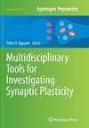 Multidisciplinary Tools for Investigating Synaptic Plasticity