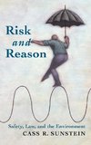 Risk and Reason