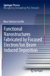 Functional Nanostructures Fabricated by Focused Electron/Ion Beam Induced Deposition