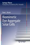 Biomimetic Dye Aggregate Solar Cells