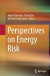 Perspectives on Energy Risk