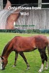 Only Horses from Wild