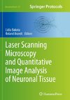 Laser Scanning Microscopy and Quantitative Image Analysis of Neuronal Tissue