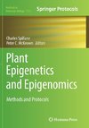 Plant Epigenetics and Epigenomics