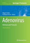 Adenovirus