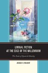 Liminal Fiction at the Edge of the Millennium