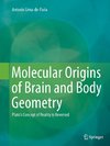 Molecular Origins of Brain and Body Geometry