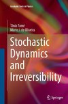 Stochastic Dynamics and Irreversibility