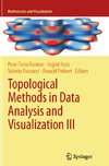 Topological Methods in Data Analysis and Visualization III