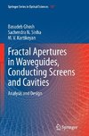 Fractal Apertures in Waveguides, Conducting Screens and Cavities