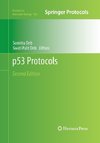 p53 Protocols