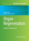 Organ Regeneration