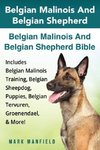 Belgian Malinois And Belgian Shepherd